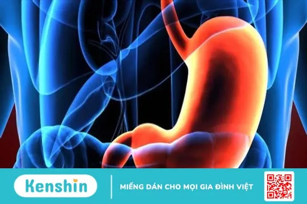 Ung thư dạ dày có lây không? Những lầm tưởng và cách phòng ngừa