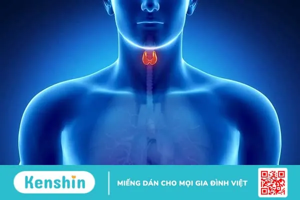 Ung thư tuyến giáp giai đoạn cuối: Dấu hiệu, điều trị và chăm sóc giảm nhẹ