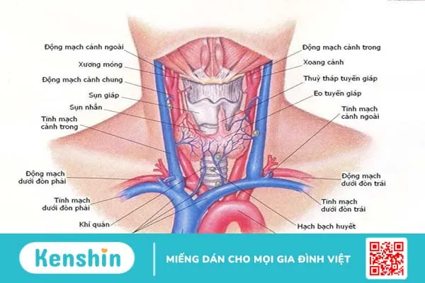 Ung thư tuyến giáp