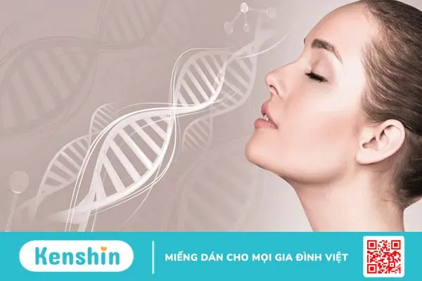 Uống collagen có tác dụng gì đối với làn da?