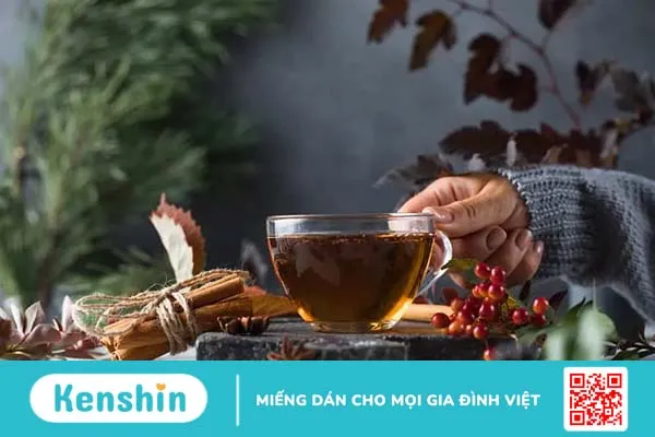 Uống trà gì để giảm mỡ máu?