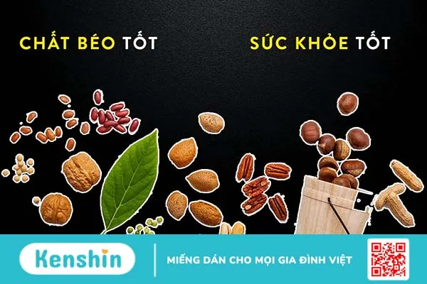 Vai trò của chất béo và cách bổ sung chất béo tốt cho sức khỏe