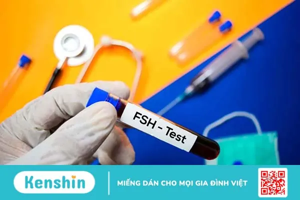 Vai trò của hormone FSH trong thai kỳ và những điều bạn cần biết