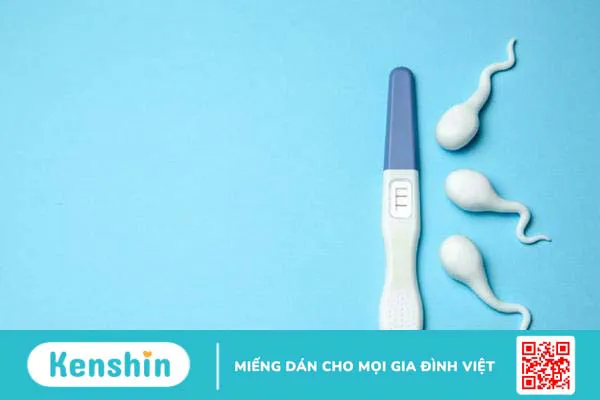 Vai trò của kẽm với khả năng sinh con của cả hai giới