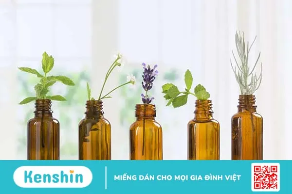 Vết ong đốt bị ngứa phải làm sao? 10 cách làm giảm ngứa khi bị ong đốt