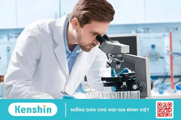 Vi khuẩn “ăn thịt người” là gì? Bệnh Whitmore nguy hiểm như thế nào?