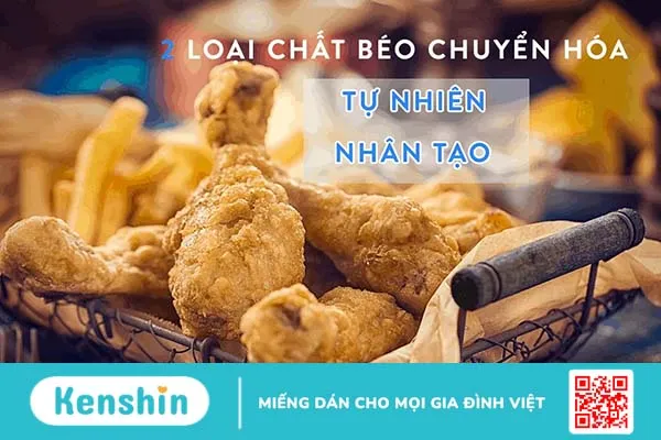 Vì sao chất béo chuyển hóa có hại cho sức khỏe?