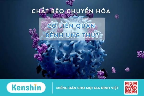 Vì sao chất béo chuyển hóa có hại cho sức khỏe?