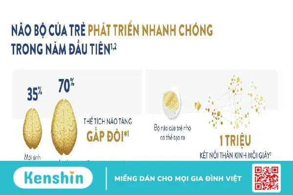 Vì sao nhất định không thể bỏ lỡ giai đoạn vàng phát triển trí não ở trẻ?