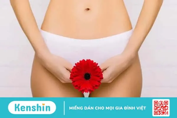 Viêm âm đạo: Bạn cần biết gì về bệnh phụ khoa phổ biến này?