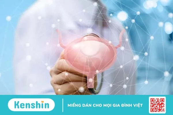 Viêm bàng quang là gì? Nguyên nhân và cách điều trị