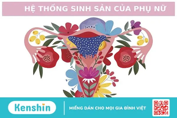 Viêm cổ tử cung