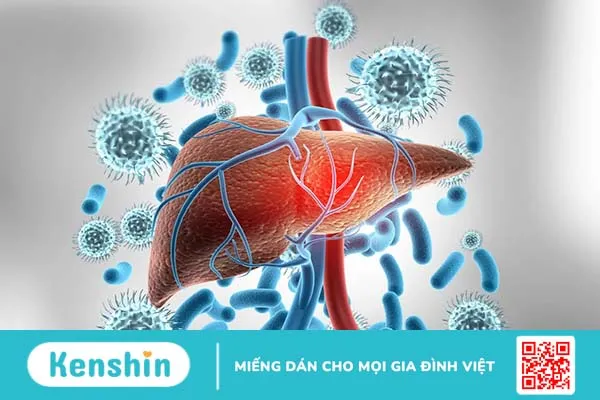 Viêm gan C có lây không? Những con đường lây truyền virus viêm gan C