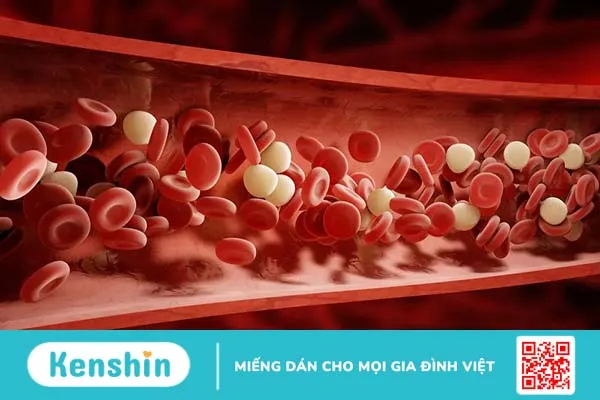 Viêm gan C có lây không? Những con đường lây truyền virus viêm gan C