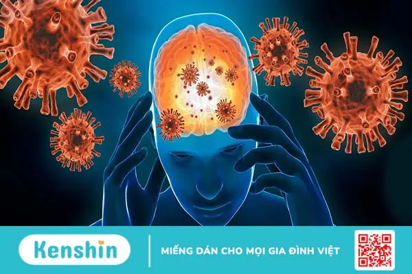 Viêm màng não: Dấu hiệu, nguyên nhân, chẩn đoán và điều trị