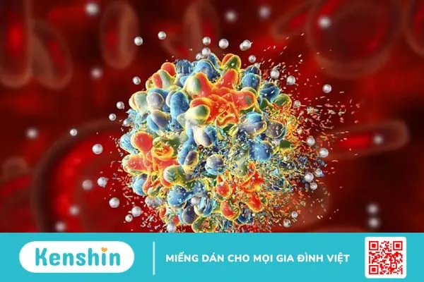 Viêm màng não vi khuẩn, virus và nấm: Tìm hiểu sự khác biệt