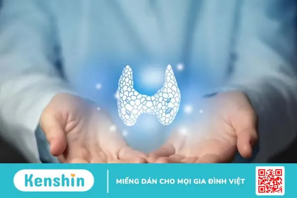 Viêm tuyến giáp Hashimoto là bệnh gì? Triệu chứng & thuốc