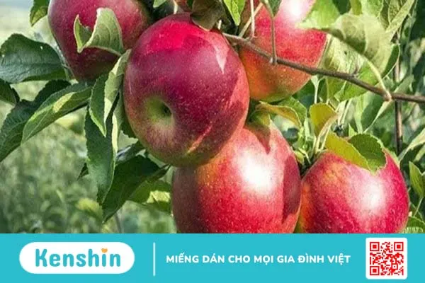 Viêm xung huyết dạ dày – Điều trị sớm để tránh biến chứng ung thư