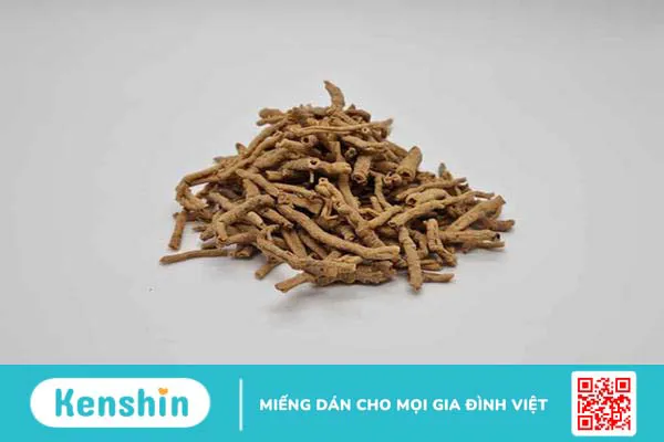 Viễn chí: Đặc điểm, tác dụng và bài thuốc trị bệnh