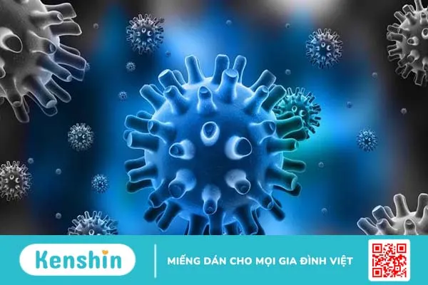 Virus corona chủng mới (SARS – CoV-2): Những điều bạn cần biết