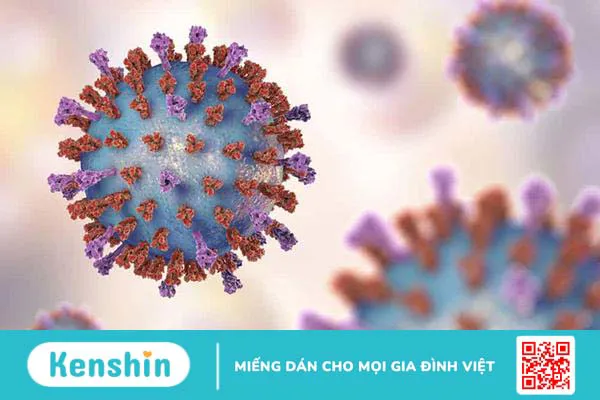 Virus hợp bào hô hấp RSV: Tác nhân phổ biến gây bệnh hô hấp ở trẻ