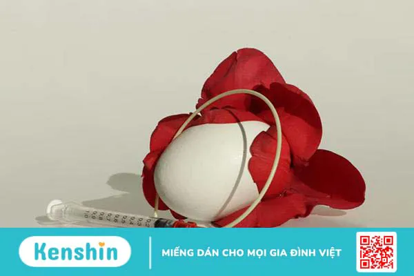 Vô sinh có chữa được không? Những công nghệ hỗ trợ sinh sản phổ biến