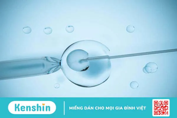 Vô sinh nam có chữa được không? 6 phương pháp chữa vô sinh nam hiện nay