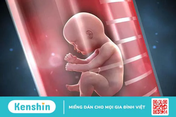 Vô sinh ở nữ có chữa được không? Cách điều trị vô sinh nữ hiện nay là gì?