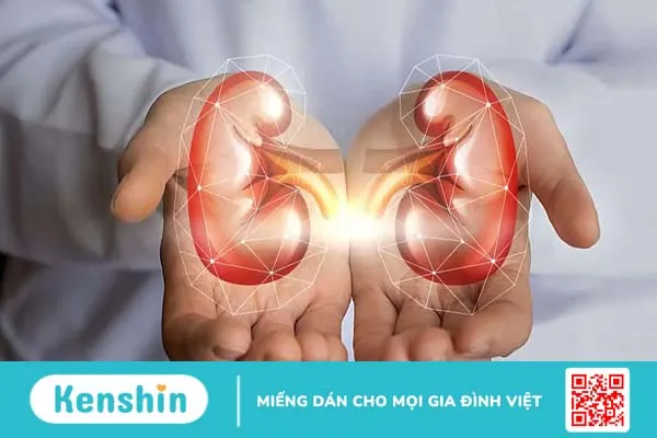 Xạ hình thận bằng DMSA