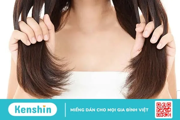 Xem ngay 31 lợi ích của dầu hạnh nhân để không bỏ qua món quà quý từ thiên nhiên