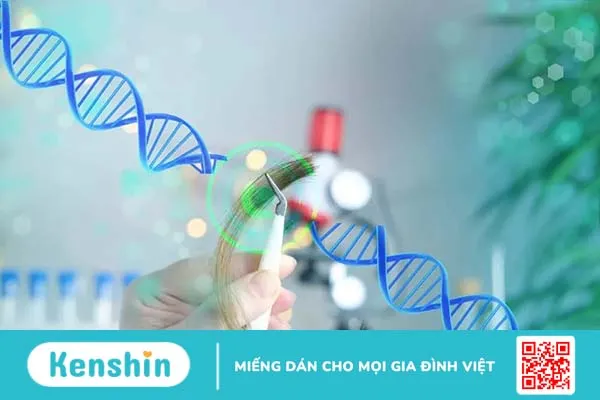 Xét nghiệm ADN bằng tóc và những điều bạn cần biết