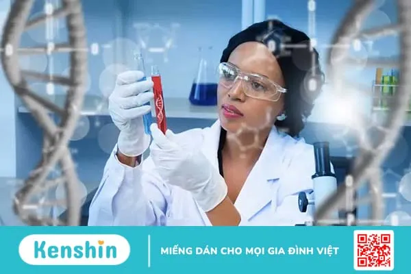 Xét nghiệm Double test ở đâu tốt? Xét nghiệm Double test bao nhiêu tiền?