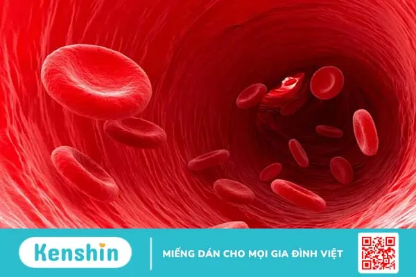 Xét nghiệm huyết sắc tố A1C kiểm tra bệnh tiểu đường