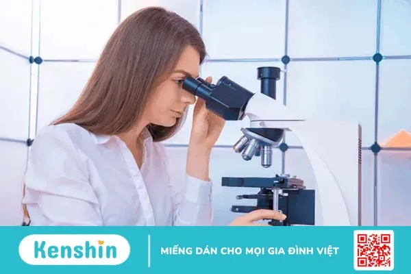 Xét nghiệm nội soi bàng quang để chẩn đoán bệnh đường tiết niệu