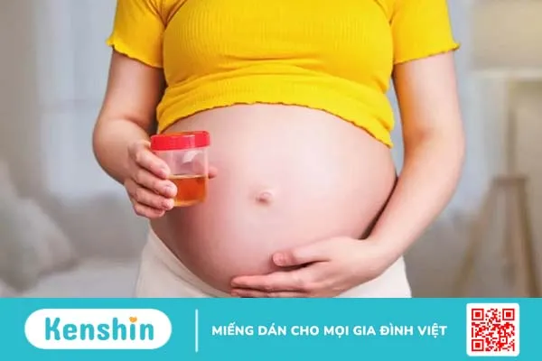 Xét nghiệm nước tiểu khi mang thai “tiết lộ” vấn đề sức khỏe nào của mẹ?