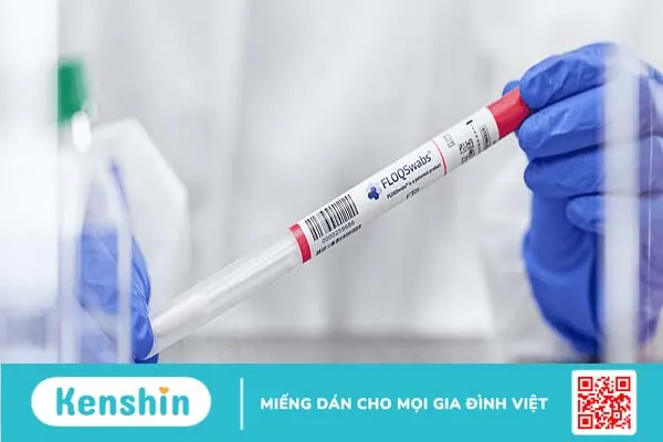 Xét nghiệm PAP và xét nghiệm HPV khác nhau ra sao trong sàng lọc ung thư cổ tử cung?