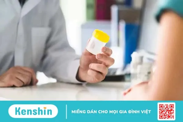 Xét nghiệm phân là gì? Quy trình thực hiện, cách đọc kết quả ra sao?