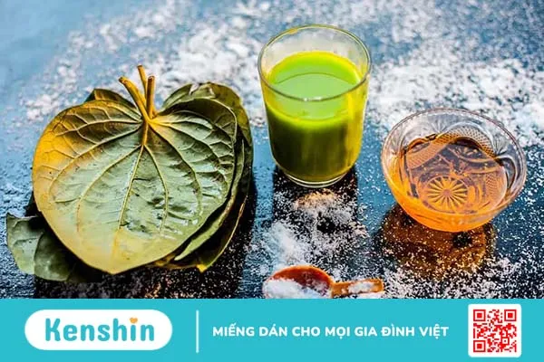 Xông lá trầu vùng kín để chữa viêm âm đạo hiệu quả