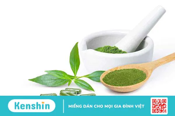 Xuyên tâm liên là gì ? Cùng tìm hiểu về xuyên tâm liên