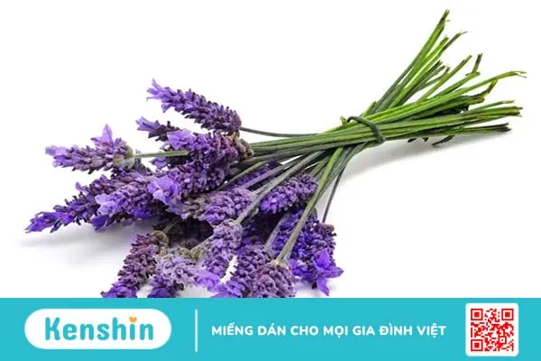 10 hương thơm tự nhiên giúp bạn quyến rũ hơn