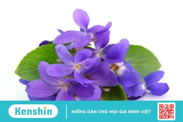 10 hương thơm tự nhiên giúp bạn quyến rũ hơn