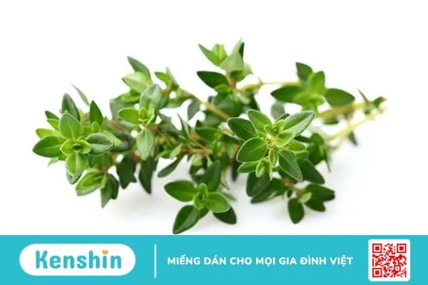 10 hương thơm tự nhiên giúp bạn quyến rũ hơn