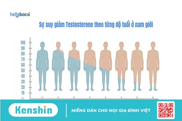 13 cách tăng Testosterone tự nhiên và hiệu quả cho nam giới