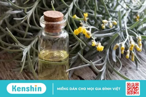 13 loại tinh dầu trị sẹo mụn lâu năm chỉ trong tích tắc