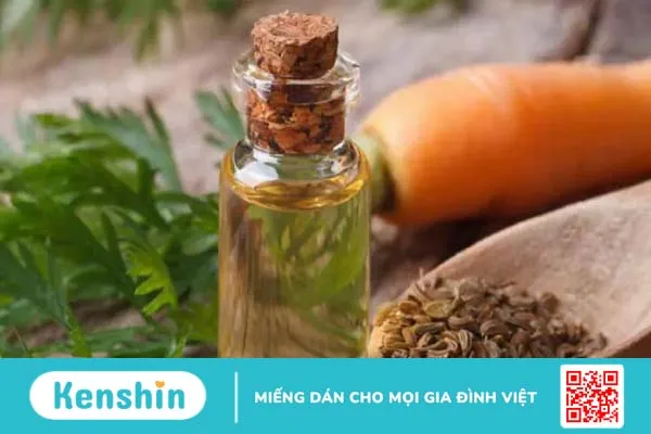 13 loại tinh dầu trị sẹo mụn lâu năm chỉ trong tích tắc