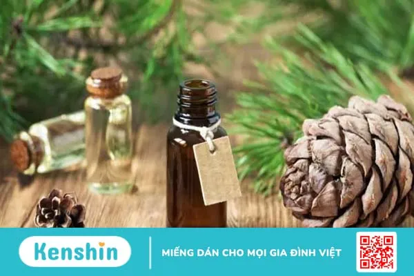 13 loại tinh dầu trị sẹo mụn lâu năm chỉ trong tích tắc