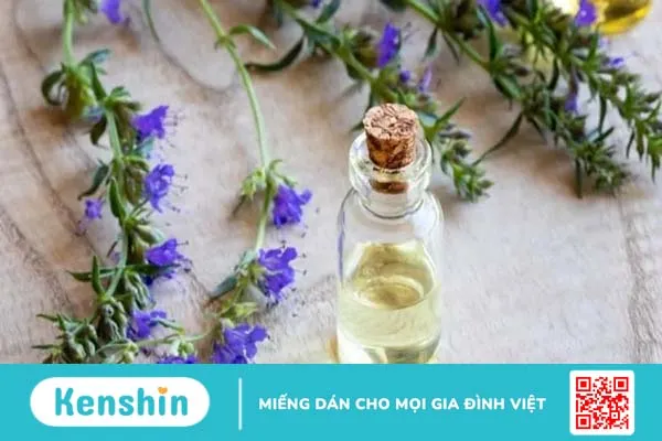 13 loại tinh dầu trị sẹo mụn lâu năm chỉ trong tích tắc