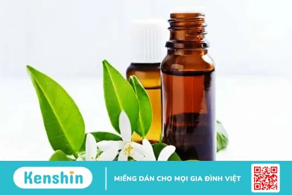 13 loại tinh dầu trị sẹo mụn lâu năm chỉ trong tích tắc