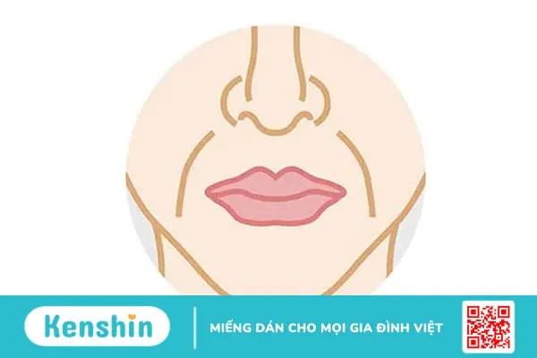 5 lợi ích kem dưỡng ẩm giúp da bạn luôn mịn màng