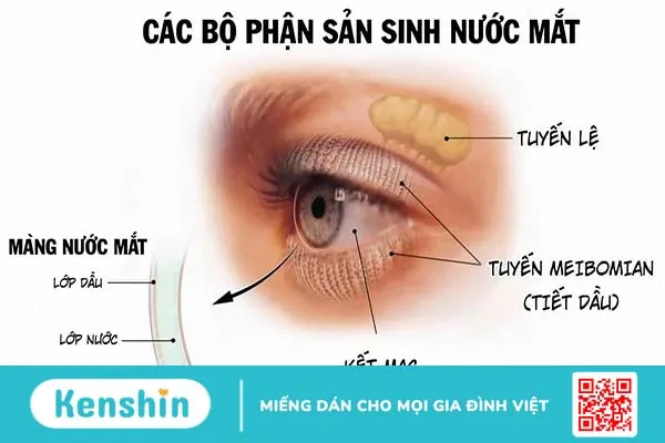 Bật mí 7 phương pháp giúp chữa khô mắt hiệu quả